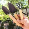 Kit d'outils de jardinage